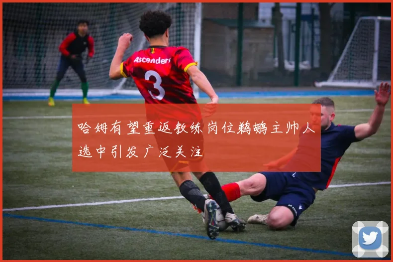哈姆有望重返教练岗位鹈鹕主帅人选中引发广泛关注
