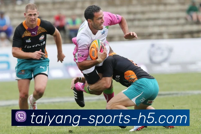 多媒体互动体验